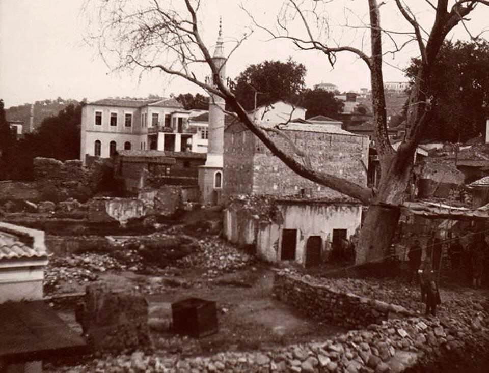 Manisa 2443