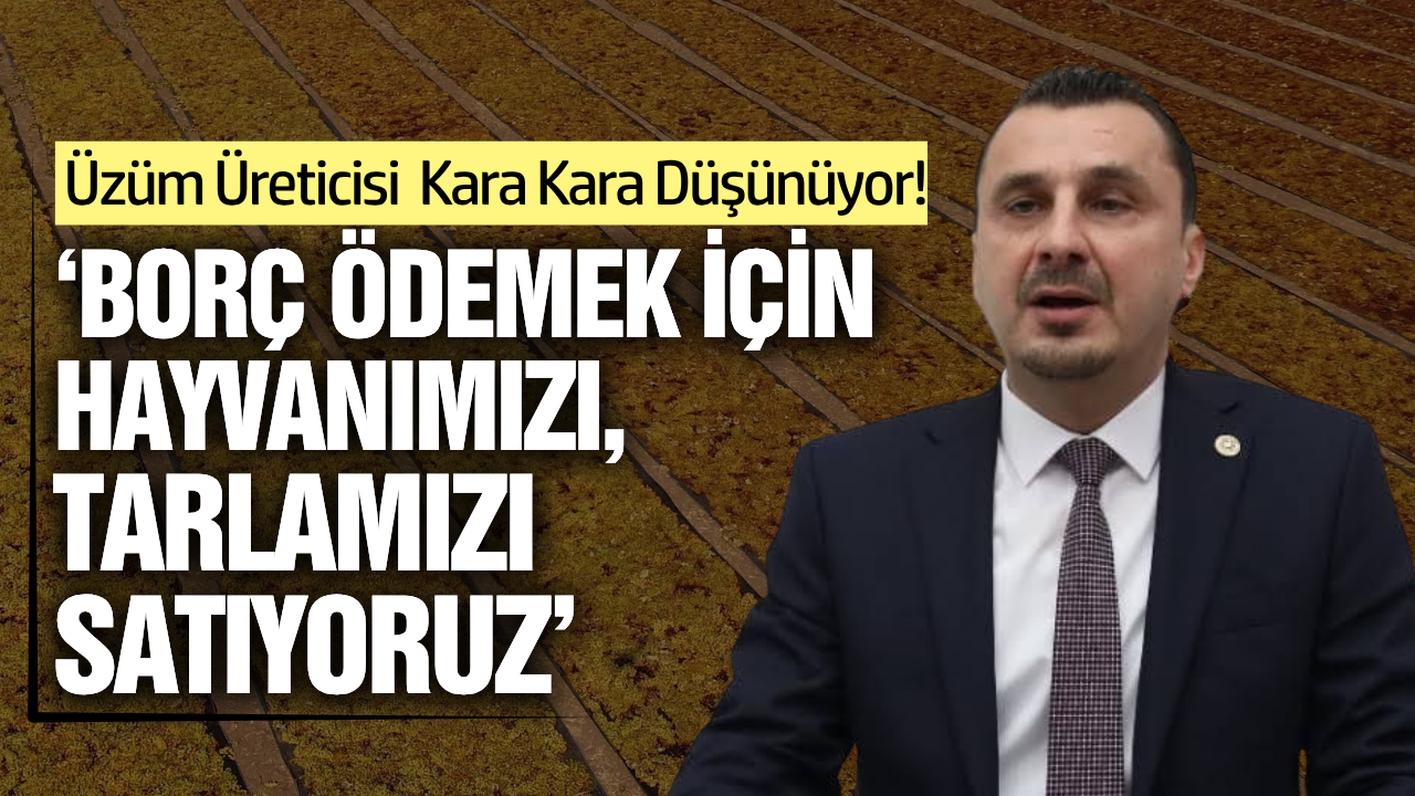 Manisa'da çiftçiler isyan etti: "Artık borçlarımızı ödeyemiyoruz”
