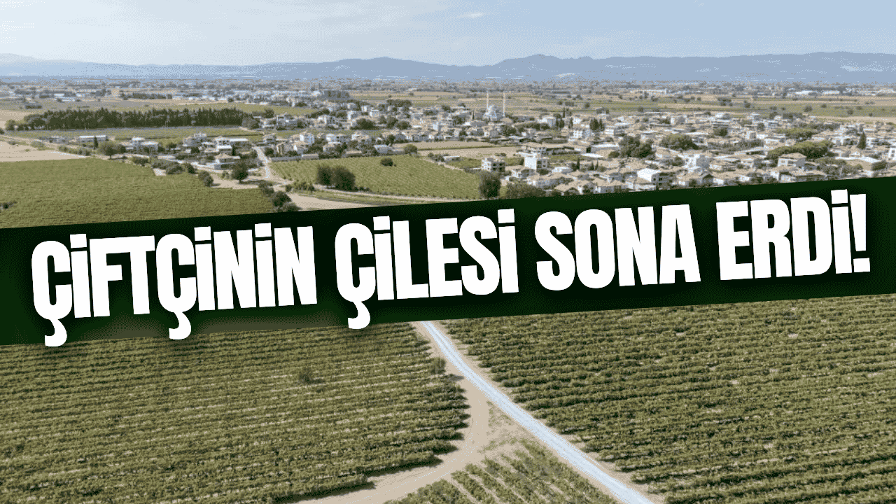 Manisa'da çiftçinin yüzünü güldüren çalışma!