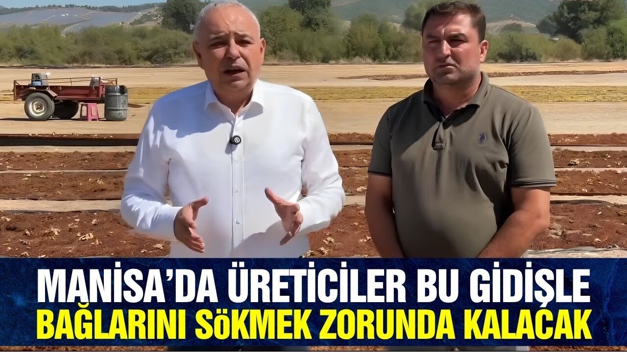 Manisa'da üreticiler dertli! 'Böyle giderse bağlar köklenir'