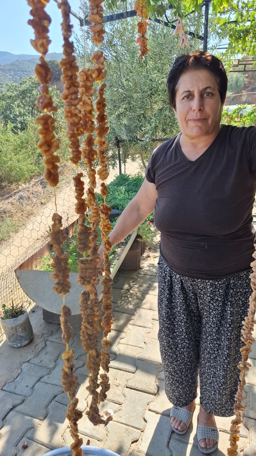 Sarıgöl’de Düşük Üzüm Fiyatları Çiftçiyi Yaratıcı Çözümlere Yöneltti (1)
