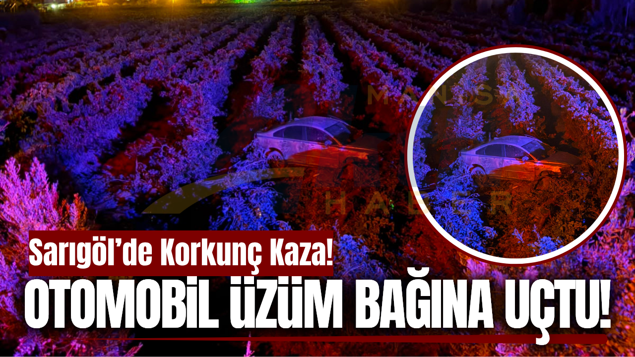 Sarıgöl'de kontrolden çıkan otomobil üzüm bağına uçtu!