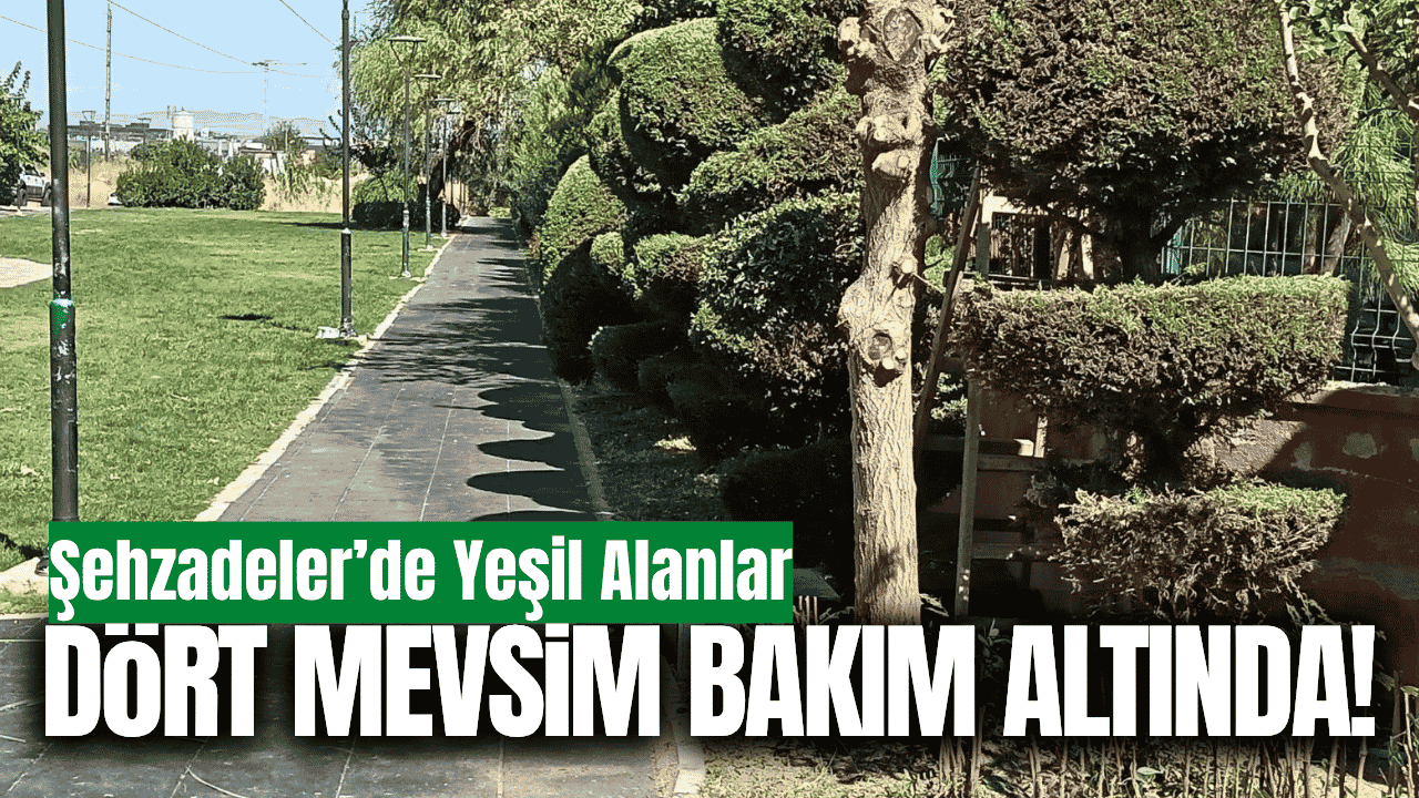 Şehzadeler'de yeşil alanlara düzenli bakım!