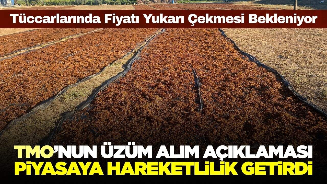 TMO'nun açıklaması üzüm piyasasını hareketlendirdi! Gözler tüccarlarda