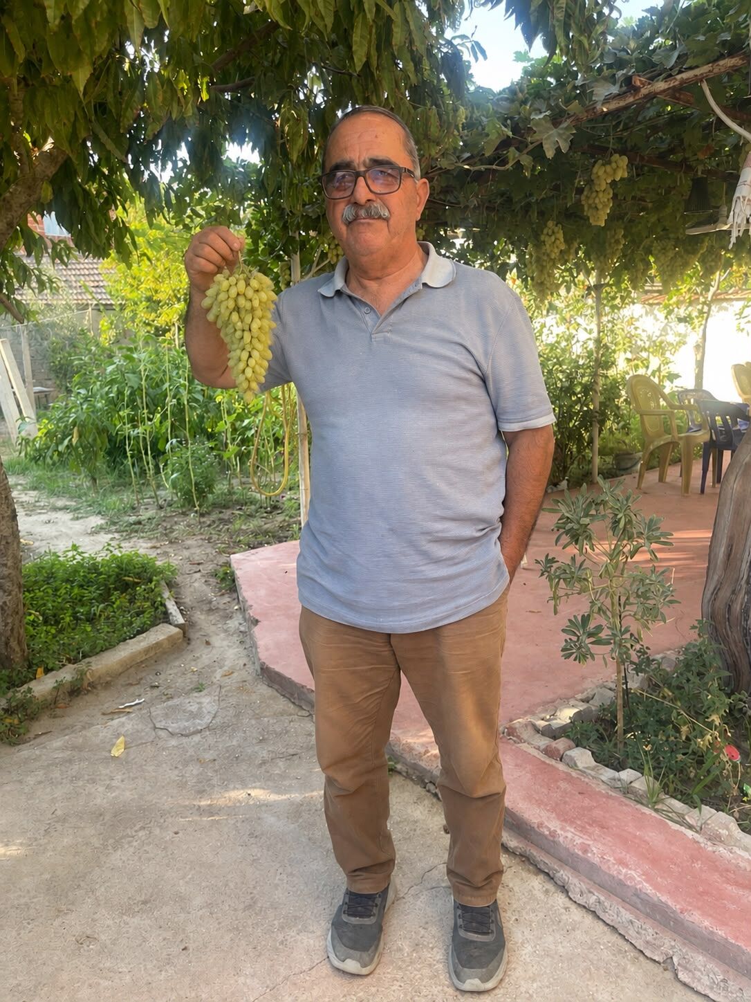 Sarıgöl'de eşi görülmemiş satış! Bağ üzerindeki üzümü ile birlikte satılıyor-.3