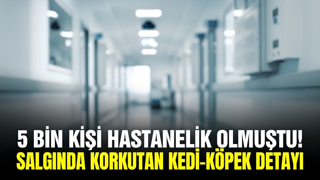 5 bin kişiyi hastanelik eden salgın büyüyor!