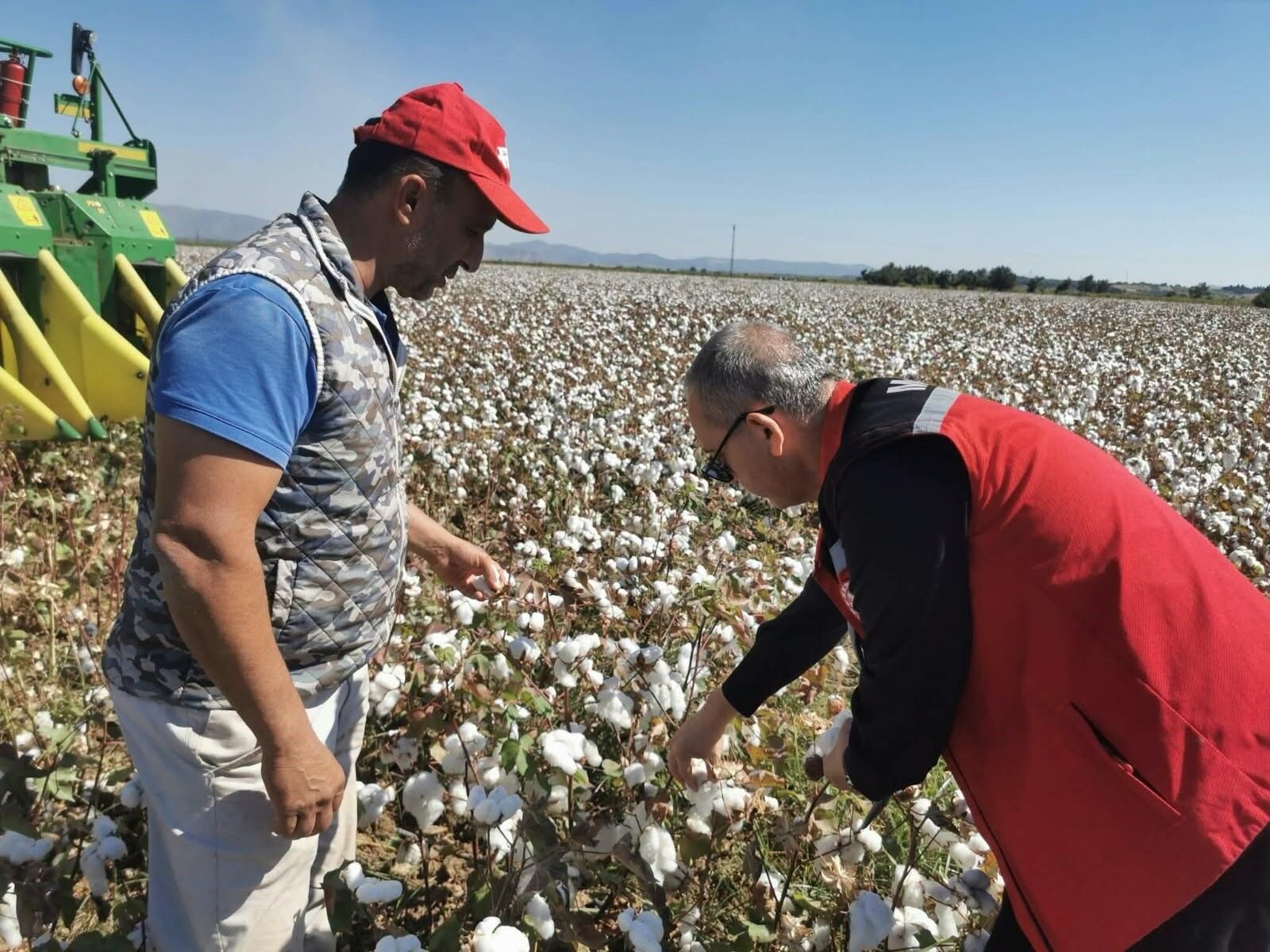 Manisa'da pamuk hasadı başladı-.2.2