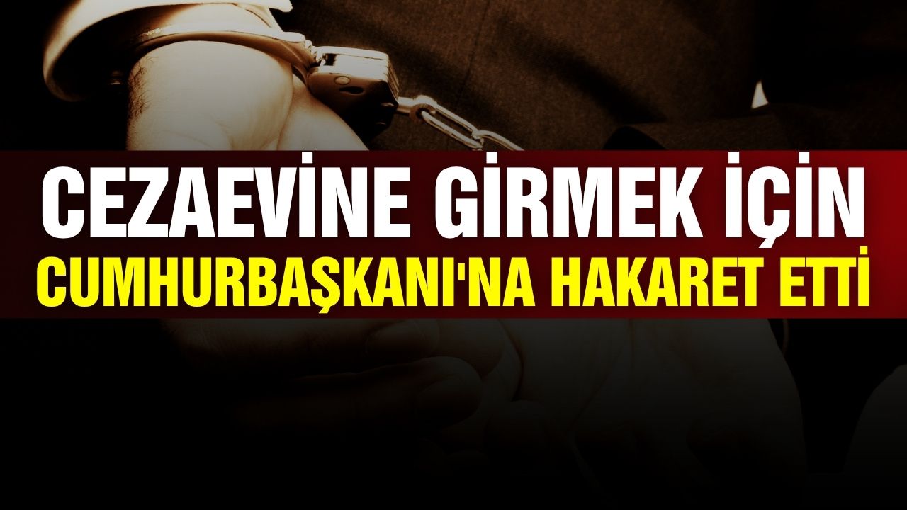 Cezaevine girmek için Cumhurbaşkanı'na hakaret etti