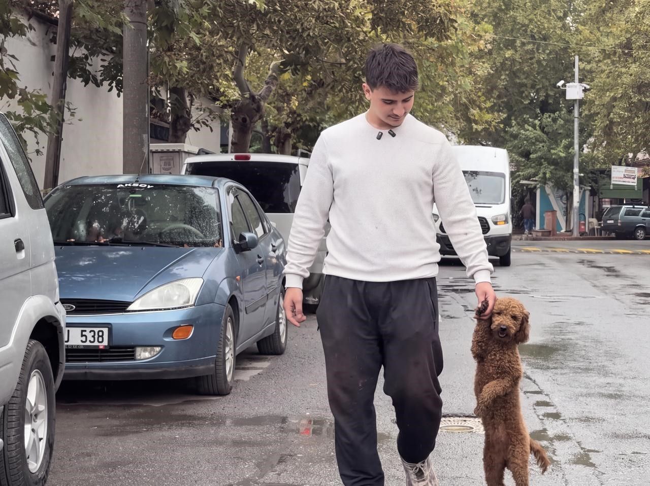 Manisa Köpek Kapak (1)