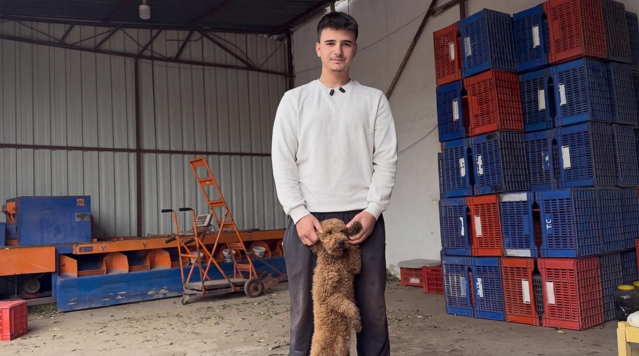 Manisa Köpek Kapak (2)