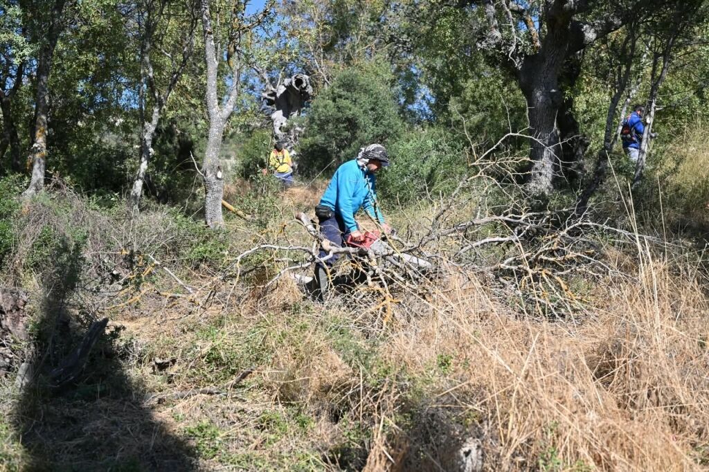 Manisa'da Mezarlıklarda Çalışmalar Sürüyor! (2)