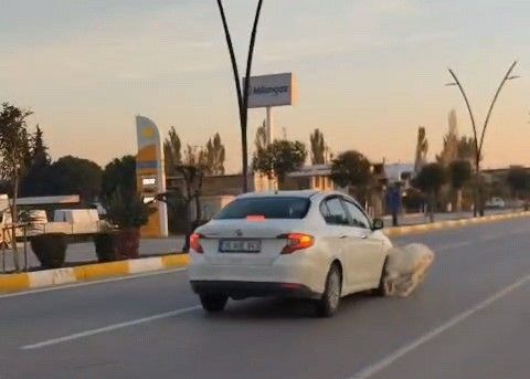 Manisa’nın Akhisar Ilçesinde Karayolunda Seyir Halindeyken Aniden Yola Çıkan Koyun Ve Keçi Sürüsüne Çarpan Otomobilde Maddi Hasar Meydana Gelirken, 3 Keçi Telef Oldu (1)