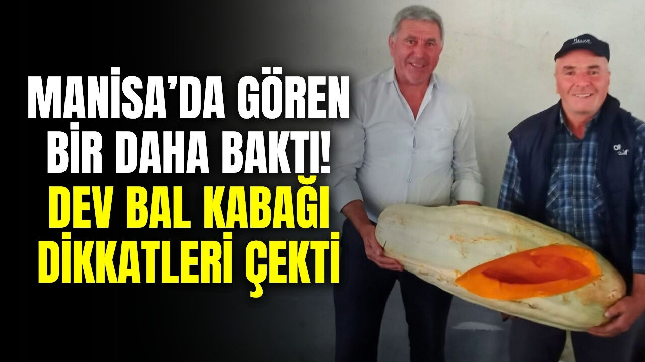 Sarıgöl Cuma Pazarı’nda Dev Bal Kabağı İlgi Odağı Oldu